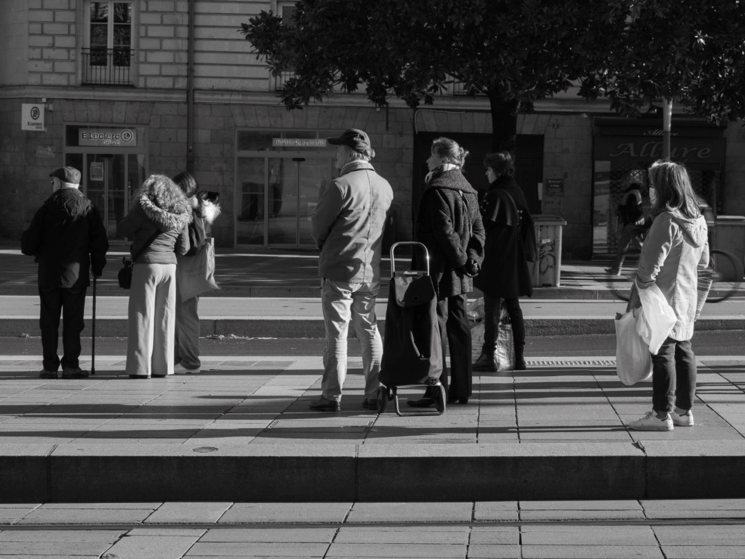 Une ombre de la vie